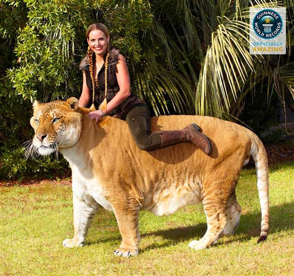 Hercules trở thành gương mặt đại diện cho hoạt động thúc đẩy bảo tồn động vật hoang dã.
