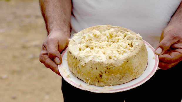 Nét khác biệt của phô mai casu marzu là những con giòi sống, nhờ những con giòi mà kết cấu của phô mai trở nên mềm, thậm chí lỏng, có vị rất cay khiến người ăn phải ứa nước mắt. Khi thời gian lên men đủ lâu, người ta sẽ cắt phô mai thành những miếng nhỏ, ăn kèm cùng rượu vang đỏ Italy và bánh mỳ dẹt. Chúng còn thoảng mùi tiêu đen và gia vị khác lạ.