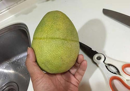 Cách bóc bưởi nhanh không làm dập múi. Bước 1: Bạn dùng dao hoặc kéo sắc khoanh một khứa xung quanh thân quả bưởi. Lưu ý vị trí khoanh phải nằm ở 2/3 thân bưởi từ dưới lên.