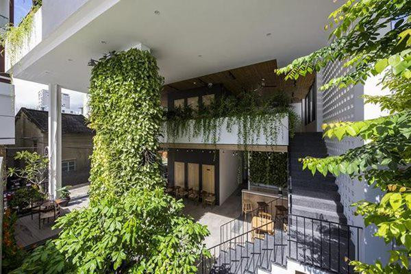 Các loại cây dây leo trồng ở tầng trên trải xuống giống như vườn treo Balylon thời cổ đại.