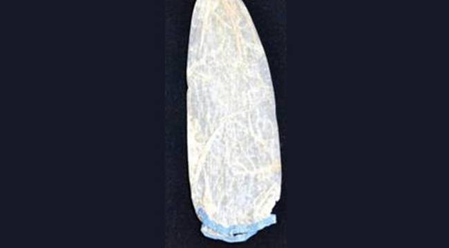 Chiều dài của bao cao su 19cm. Điều đáng nói là chiếc bao cao su được làm từ ruột cừu.
