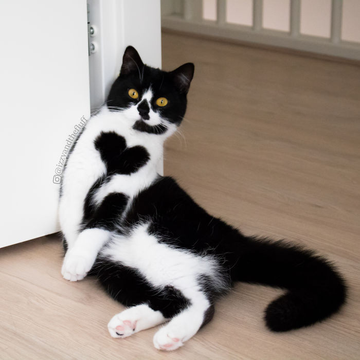 Zoe tạo dáng gợi cảm, khoe hình trái tim độc đáo trên lồng ngực của mình. (Nguồn Bored Panda)