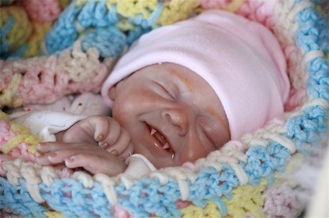 Để có sự sinh động giống thật như thế, cô Bean đã tiêu tốn rất nhiều thời gian, tâm huyết và sử dụng những chất liệu tốt nhất. (Nguồn Sina)
