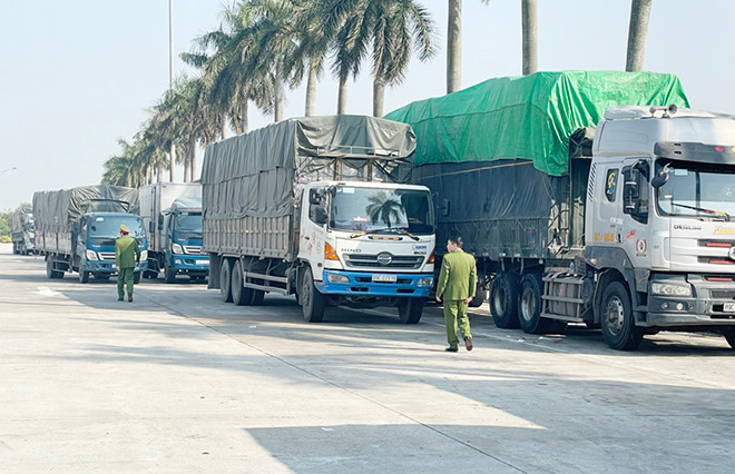 Đoàn xe chở container và xe tải mang biển kiểm soát của các tỉnh Hưng Yên, Quảng Ninh, TP Hà Nội và TP Hải Phòng.