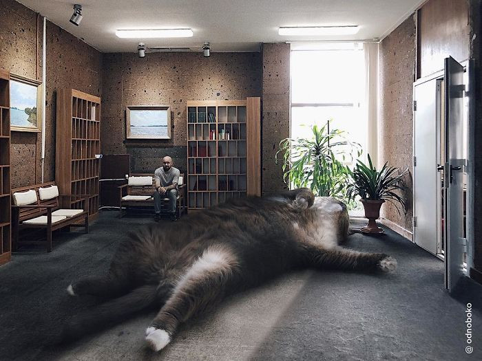 Theo tìm hiểu, Andrey Scherbak sống ở Rostov-on-Don, làm việc từ xa với tư cách là giám đốc sáng tạo cho một công ty quảng cáo ở Moscow, Nga.