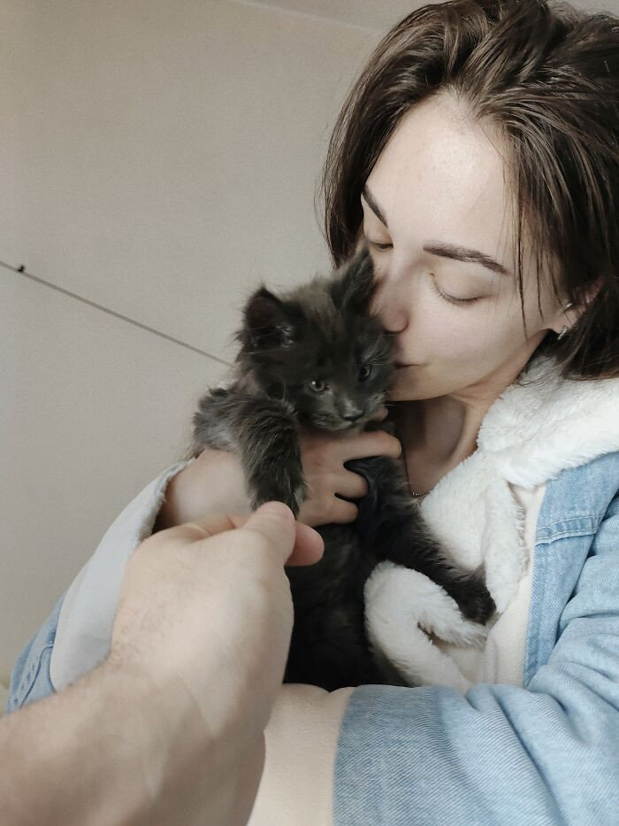 Vincent là một chú mèo giống Maine coon sinh ở Nga, hiện tại nó đã được 11 tháng và nặng 20 pound (khoảng 9kg).