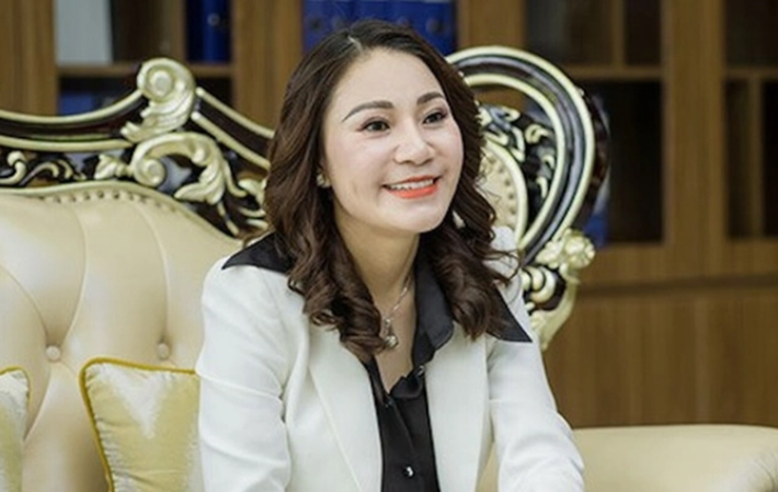 Theo thông tin đầu, Công ty Nhật Nam thành lập nhiều chi nhánh và các văn phòng giao dịch BĐS tại các tỉnh, thành phố trên cả nước, lôi kéo nhiều nhà đầu tư tham gia góp vốn với cam kết trả lợi nhuận hàng ngày với tỷ suất lợi nhuận cao (từ 5 - 7%/tháng, tương đương 60 - 84%/năm, kèm theo nhiều ưu đãi BĐS). Các thủ tục tố tụng đang được cơ quan điều tra tiến hành theo quy định của pháp luật.