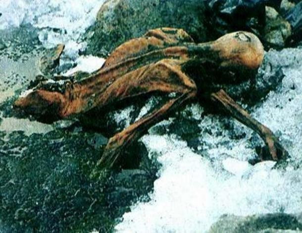 Người thứ 6 là Konrad Spindler, 66 tuổi, thuộc nhóm nhà khoa học đã kiểm tra xác ướp Otzi tại Innsbruck, Áo và người cuối cùng là ông Tom Loy, 63 tuổi, nhà khảo cổ học phân tử có nghiên cứu về quần áo và vũ khí của Otzi.