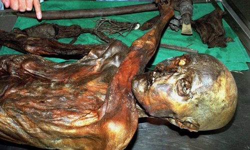 Tuy nhiên, cho đến nay, giới chuyên gia vẫn chưa thể tìm ra bằng chứng chứng minh 7 cái chết trên là do lời nguyền xác ướp Otzi. Vì vậy, nó trở thành bí ẩn lớn, thức thức nhân loại đi tìm lời giải suốt nhiều năm qua.