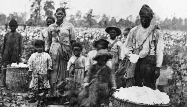 Một gia đình nô lệ làm công việc thu hoạch bông trên cánh đồng ở Savannah những năm 1860.