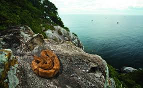 Hòn đảo Ilha Da Queimada Grande hay còn gọi đảo Rắn) nằm ngoài khơi bờ biển Brazil. Đây là một địa điểm đặc biệt trên thế giới khi hoàn toàn không có người sinh sống vì một lý do rùng rợn.