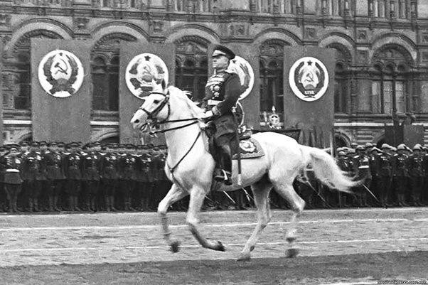 Vào tháng 9/1941, Nguyên soái Georgy Zhukov được giao nhiệm vụ chỉ huy tập đoàn quân Leningrad nhằm chặn đứng bước tiến của kẻ địch.