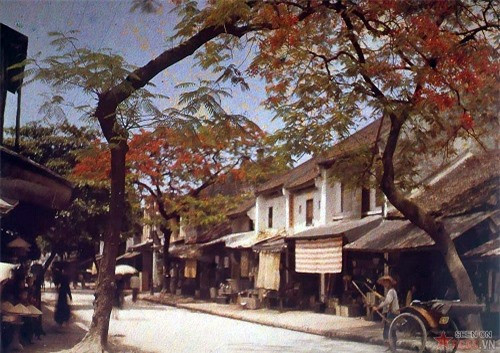 Phố Hàng Thiếc ở Hà Nội năm 1915.
