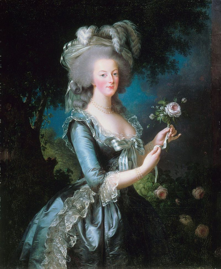 Ngay từ khi còn nhỏ, công chúa Marie Antoinette là một mỹ nhân xinh đẹp và được dạy dỗ theo quy định của hoàng tộc. Theo đó, bà tinh thông múa hát, diễn kịch, viết lách, lịch sử, hội họa, kiến thức chính trị, toán học và ngoại ngữ.