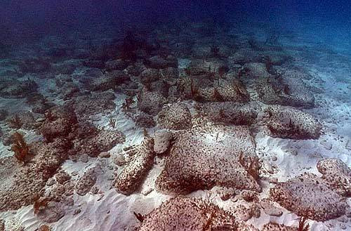 Đường Bimini là một kiến trúc bí ẩn được các nhà khoa học phát hiện ở vùng nước sâu phía tây Bimini, Bahamas vào năm 1968.