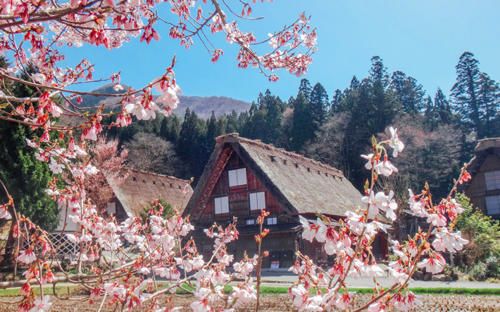 Vào năm 1995, UNESCO công nhận toàn bộ quần thể làng Shirakawa-go là Di sản văn hóa thế giới. Mời độc giả xem video: Ngôi làng xa hoa bậc nhất không có ô tô. Nguồn: VTC14