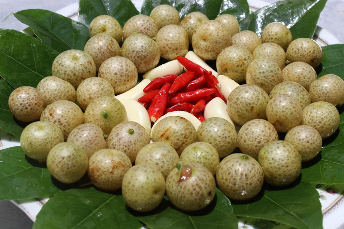 Quả mắc mật tươi, khô có nguồn gốc từ Lạng Sơn, Cao Bằng từng khiến nhiều bà nội trợ ở Hà Nội phát sốt, lùng mua về làm gia vị cho các món ăn. Thuộc vào dạng khó tìm nên loại quả này luôn trong tình trạng cháy hàng ở các shop thực phẩm sạch trên địa bàn Hà Nội. Giá quả mắc mật tươi 50.000 đồng/kg, mắc mật khô giá 200.000 đồng/kg.