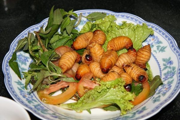 Đuông dừa chiên bột: Khi bàn về các món đặc sản Bến Tre, người ta thường nghĩ ngay đến món đuông dừa chiên bột. Đây là một món ăn vô cùng độc đáo và mang dấu ấn đặc trưng của ẩm thực Bến Tre bởi xứ dừa Bến Tre là nơi sản sinh nhiều đuông dừa nhất.