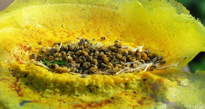 Bánh xèo ốc gạo Phú Đa: Khi đi du lịch Bến Tre mà không thưởng thức bánh xèo ốc gạo quả là một thiếu sót. Để làm bánh xèo ốc gạo thì nguyên liệu quan trọng nhất chính là ốc gạo. Ốc gạo có thịt trắng đục, béo thơm, được rải đều trong lòng bánh, khi bánh chín sẽ được gấp làm đôi. Bánh này được ăn cùng với nước mắm chanh tỏi ớt và các loại rau sống như cải bẹ xanh, xà lách, đọt bằng lăng, đọt bứa, rau thơm, dưa leo…