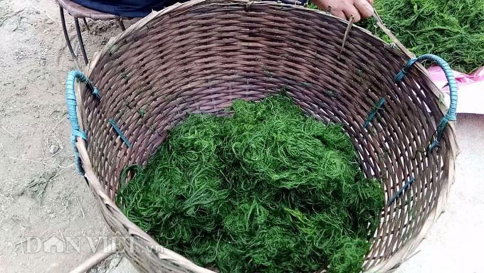 Lên Mộc Châu, thưởng thức bát canh rêu đá nóng hổi trong tiết trời se lạnh mới thấy cái thú của ẩm thực vùng cao.