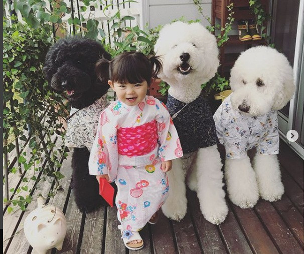 Mame và 3 chú chó có cả đồng phục kimono truyền thống của Nhật.
