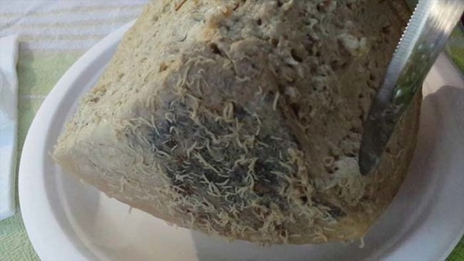 Đối với người dân Ý, món pho mát này nên được thưởng thức nhất khi những con giòi bên trong còn sống. Tuy nhiên, với du khách thì ăn món ăn nhầy nhụa này thực sự là một thử thách.