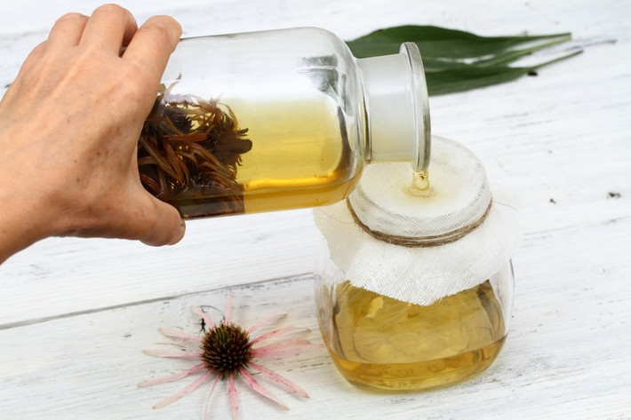 Cúc dại (Echinacea) là thảo dược được sử dụng phổ biến nhất với tác dụng tăng cường khả năng miễn dịch trên đường hô hấp. Uống trà thảo dược này trong mùa đông sẽ hạn chế bệnh tật một cách hiệu quả.