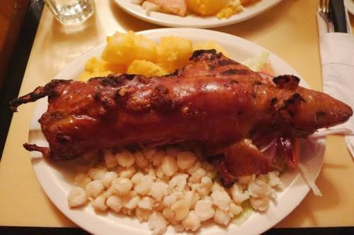 Người Peru tiêu thụ khoảng 65 triệu con chuột lang mỗi năm.