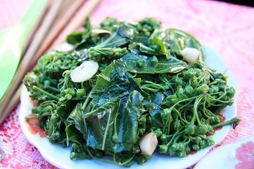 Hoa và ngọn lá ngón ở Mường So (Lai Châu). Cũng gọi là lá ngón nhưng loại lá được người Mường So chế biến thành món ăn này không giống với loại lá ngón gây độc chúng ta thường nghe nói đến. Lá ngón xào tỏi là món đặc sản độc đáo thường được dùng để thiết đón khách quý của người dân nơi đây. Ảnh: Internet.