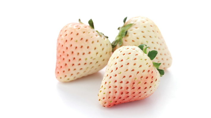 Tăng cường hệ miễn dịch: Theo chuyên gia dinh dưỡng, dâu tây trắng cung cấp nhiều vitamin C và chất chống oxy hóa, giúp tăng cường hệ miễn dịch ở người. Do vậy, quả này giúp ngừa vi khuẩn tấn công cơ thể và ngăn ngừa cảm lạnh, dị ứng, viêm xoang…