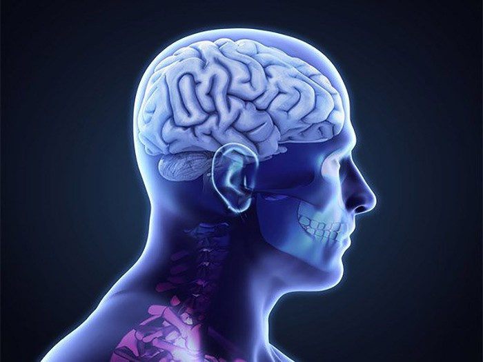 Mất trí nhớ: Khi có lượng estrogen cao, rất có thể bạn sẽ trở thành nạn nhân của mất trí nhớ. Bạn sẽ gặp khó khăn trong việc ghi nhớ mọi thứ, những điều đó có thể dẫn đến các bệnh nghiêm trọng khác như bệnh Alzheimer.