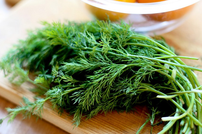 Thì là chứa những hợp chất giúp nới lỏng chất nhầy của ngực và làm dịu cổ họng bị đau. Cây thì là cũng là một nguồn kali tốt, cần thiết trong việc điều chỉnh cân bằng chất lỏng trong cơ thể để bạn không bị mất nước. Ảnh: Internet.