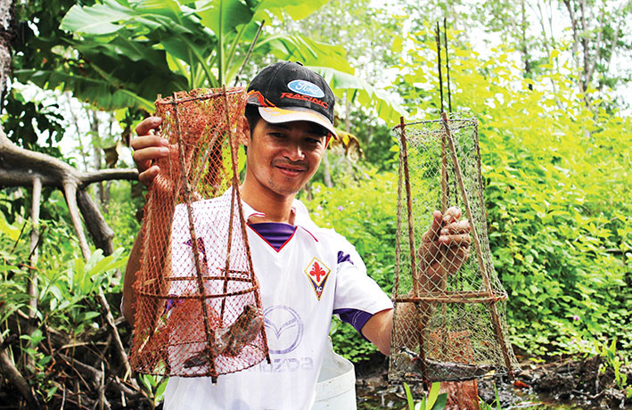 Nhưng hiệu quả nhất là dùng sà vi, là mảnh lưới được kết dính có hình dáng như một chiếc lọp để đặt vào miệng hang. Sau một thời gian lẩn trốn, cá thòi lòi bò ra ngoài và sẽ vào sà vi. Cứ thế, mở sà vi ra rồi bắt cá. Ảnh: Sà vi được lợp bằng lưới hay kết bằng lá dừa để bắt cá thòi lòi.