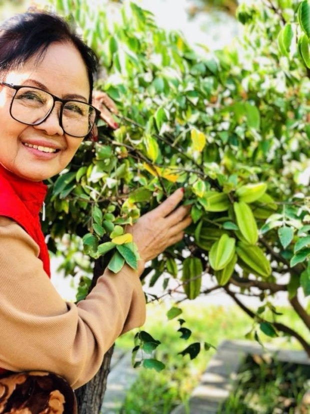 Cây khế sai quả chứng tỏ chủ nhân khu vườn chăm sóc rất tốt.