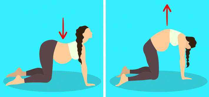 Tư thế mèo –lạc đà: Bài tập này sẽ giúp bà bầu thoải mái và dễ sinh nở hơn. Giữ mình ở tư thế bò. Khi bạn hít vào, hãy ngẩng đầu lên nhẹ nhàng. Khi thở ra, hãy đưa lưng lên cao và gập cằm về phía ngực. Nhấn bàn tay xuống sàn nhà và đẩy trung tâm lên đến trần nhà. Bà bầu nên thực hiện bài tập này hàng ngày.