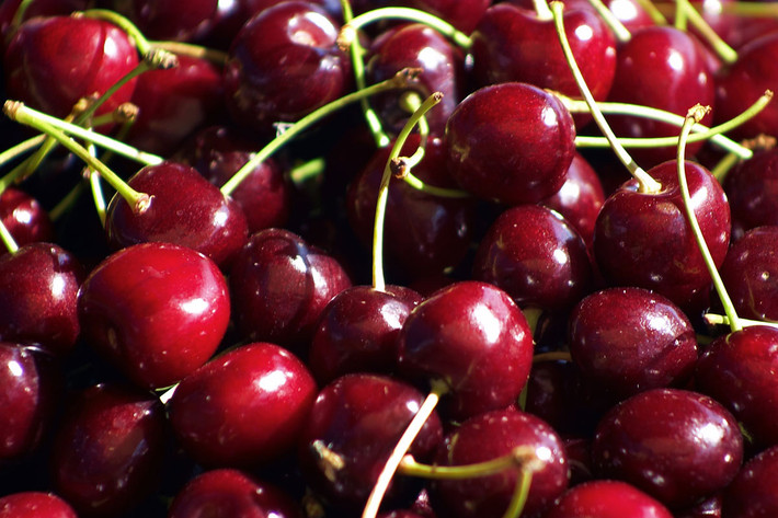 Quả cherry cũng là thực phẩm đốt cháy chất béo tốt vì nó có hàm lượng calo thấp và thúc đẩy giảm cân bằng cách tăng tỷ lệ trao đổi chất.