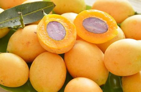 Mặc dù Plango bắt đầu nổi tiếng từ Thái Lan, nhưng thật ra xuất xứ của loại quả này là từ phía bắc Sumatra, bán đảo Malaysia và Tây Java (Indonesia). Ảnh: Thai Fresh.