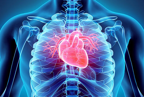 Giảm huyết áp: Khi bạn ôm hay hôn bất cứ ai, mức độ oxytocin – một loại hormone, sẽ tăng lên. Hormone này đóng một vai trò quan trọng trong việc giảm lượng cortisol trong cơ thể, do đó làm giảm huyết áp.