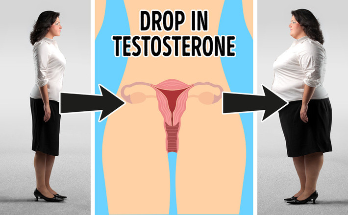 Testosterone: Tuổi tác và căng thẳng có thể làm giảm đáng kể nồng độ testosterone ở phụ nữ, dẫn đến béo phì. Tập luyện thường xuyên giúp cải thiện mức độ testosterone.