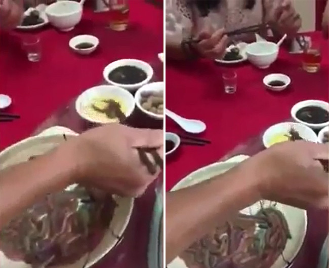 Để thu hút thực khách, một nhà hàng ở Trung Quốc từng phục vụ món đỉa sống ngay trên các bàn ăn của mình.