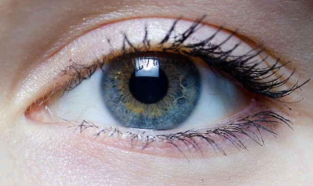 Tiêm tia Intravitreal: Tiêm Intravitreal không phải dành cho người yếu tim. Sau khi gây tê mắt, bác sĩ lấy kim và tiêm thuốc gần võng mạc ở phía sau mắt. Cách điều trị này giúp chữa bệnh và bảo vệ mắt của bạn khỏi những bệnh nhất định. Ảnh: Medlineplus.