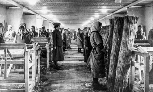 Trại tập trung Ravensbruck của Hitler là nơi giam giữ hàng nghìn nữ tù nhân đến từ 20 quốc gia, chủ yếu là người châu Âu. Trong ảnh là các nữ tù làm việc trong một nhà xưởng dưới sự kiểm soát của sĩ quan SS.