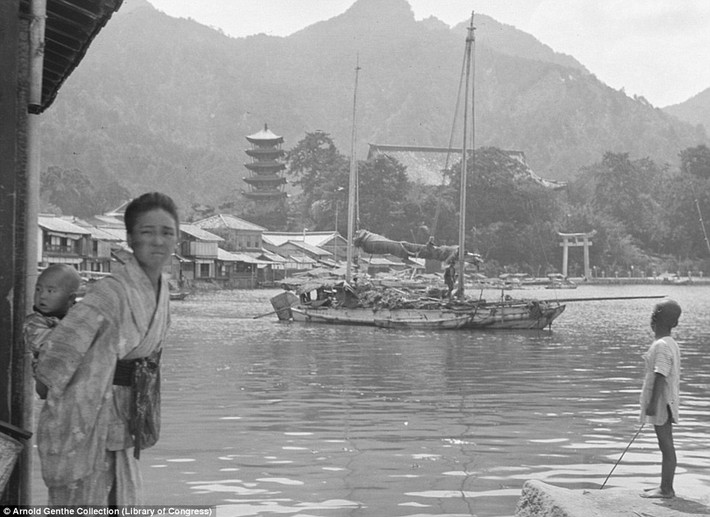 Những chiếc thuyền rong buồm ra khơi đánh bắt cá.