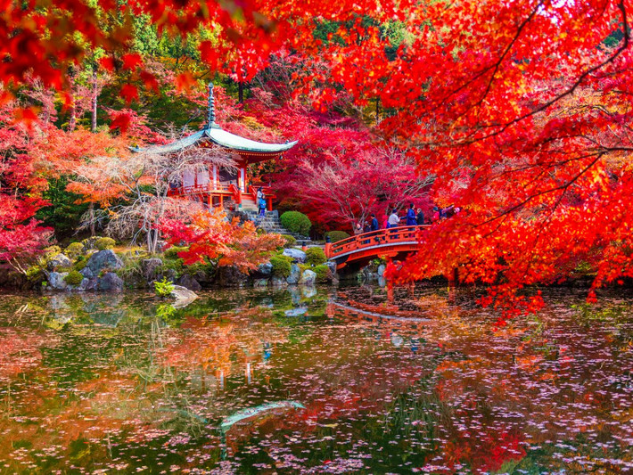 Thành phố Kyoto (Nhật Bản) được khách du lịch bình chọn trên trang Travel + Leisure là thành phố tốt nhất thế giới trong 2 năm liên tiếp. Là cố đô của Nhật Bản, Kyoto giàu lịch sử và có nhiều ngôi đền, khu chợ, công viên và khu vườn tuyệt đẹp như trong truyện cổ tích.