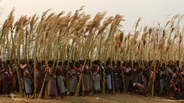 Trong số 14 người vợ của vua Mswati III, ba người trong số đó đã rời khỏi gia đình hoàng tộc của nhà vua của đất nước nằm ở đông nam lục địa đen này.