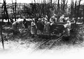 Hầu hết nô lệ tình dục này được "tuyển chọn" từ trại tập trung Ravensbruck và Auschwitz rồi đưa đến "nhà thổ" tại 10 trại tập trung ở Đức và các vùng lãnh thổ phía đông mà Đức quốc xã chiếm đóng.