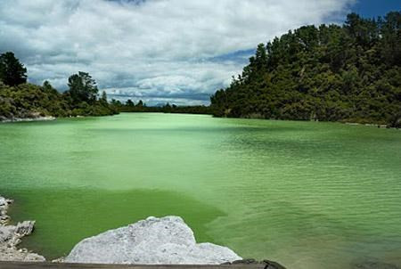 6. Hồ Ngakoro (New Zealand) – Xanh lá tươi mát. Chính hoạt động núi lửa đã tạo nên hồ Ngakoro và khu vực địa nhiệt Wai-o-tapu ở New Zealand từ 160 nghìn năm trước.