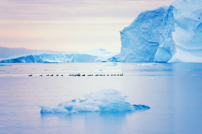 "Kho báu" khoáng sản cực khủng đang bị chôn vùi dưới lớp băng ở đảo Greenland trở thành mục tiêu tìm kiếm của các chuyên gia. Ảnh: Shutterstock Photo.