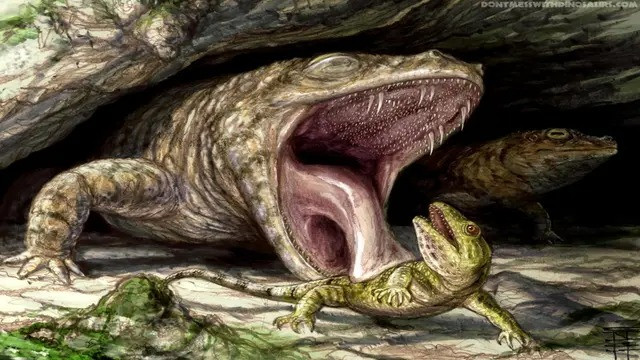 Di chuyển bằng 4 chân, thân hình lớn và nặng nề, các cá thể Buettnererpeton bakeri sống trong kỷ Tam Điệp. Chúng thường tới các hồ và sông nước ngọt để sinh sản. Ảnh: Brian Engh.