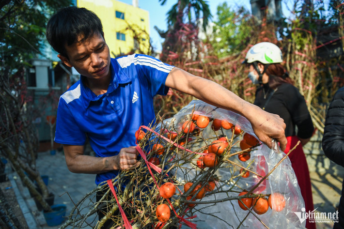 Một tiểu thương bán đào tại chợ Lạc Long Quân cho hay, ông nhập một ít cành hồng về "bán chơi", không ngờ loại hàng này lại đắt khách. "Loại cây này có vẻ lạ hơn một chút, dễ cắm, không cần chăm. Giá cho một cành lớn chỉ 300.000-800.000 đồng, rẻ hơn nhiều so với đào cảnh nên được khách chọn lựa", ông nói.